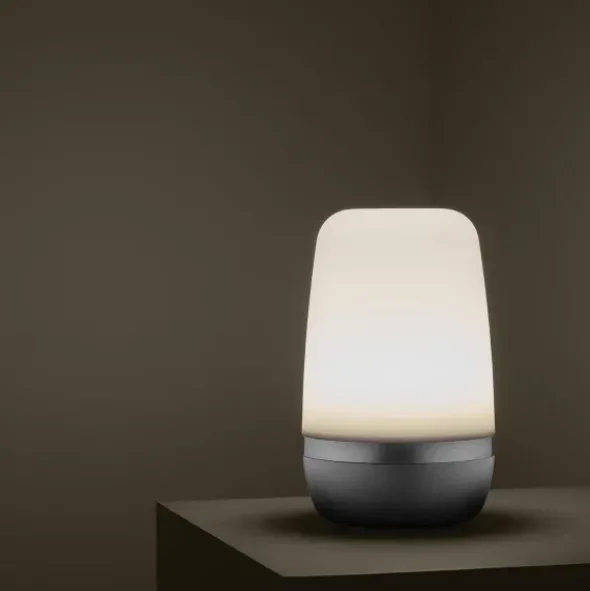 LED Outdoor Leuchte -SPIRIT- Farbe Platinum Gray - Größe L