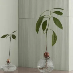 Vase -AVO- Farbe Klar Größe M