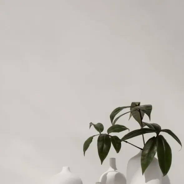 Vase -CEOLA- Farbe White Höhe 18 cm